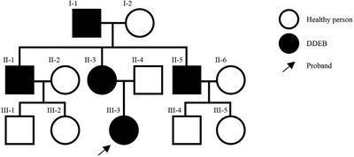 Grafik Familienstammbaum Läsionen