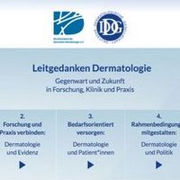 Schaubild "Leitgedanken Dermatologie"